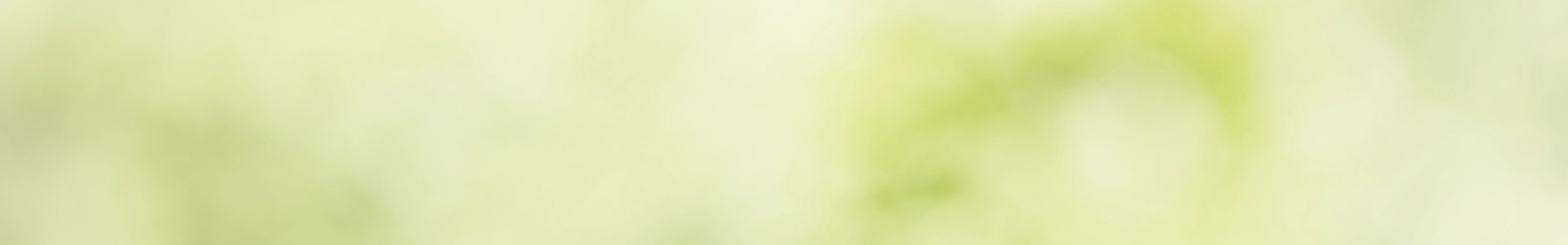 Soft light green blurred background with gentle gradients.
